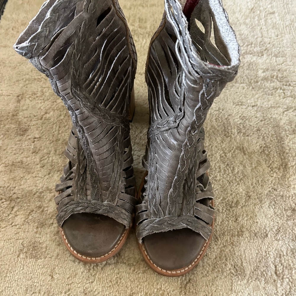 Freebird by Steven gray